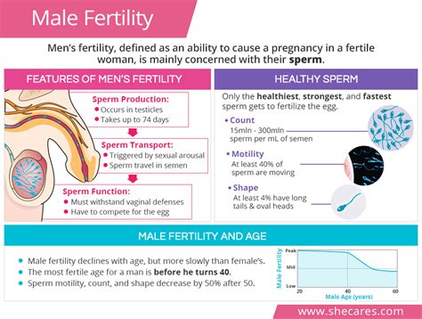 What Affects Male Fertility