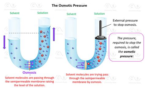What Affects Osmotic Pressure
