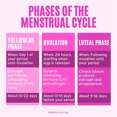 What Affects Ovulation In Females
