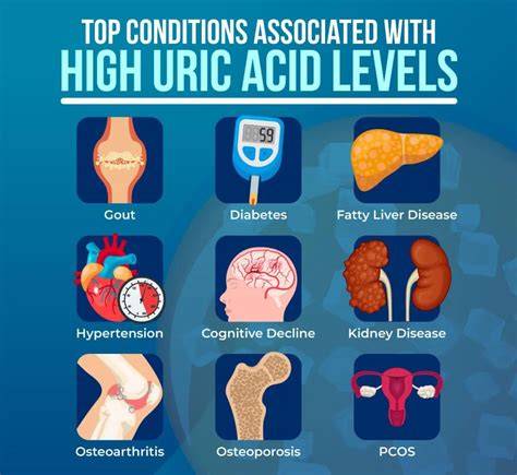 What Affects Uric Acid