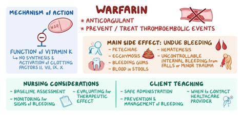 What Affects Warfarin Levels