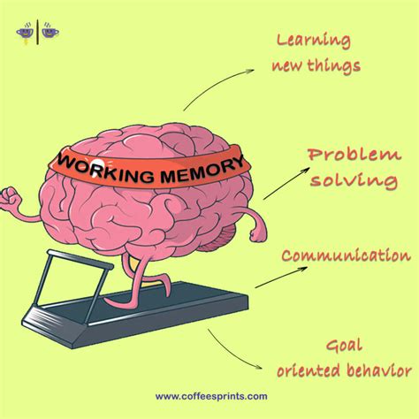 What Affects Working Memory