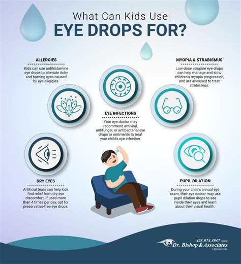 What Are Eyes Used For