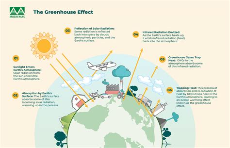 What Are Greenhouse Gases