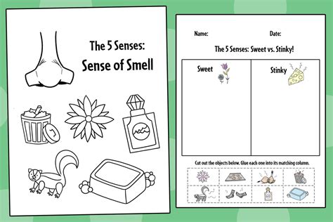 What Are Parts Of Body To Smell Something