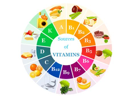 What Are Vitamins