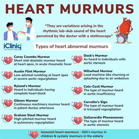 What Causes A Heart Murmur