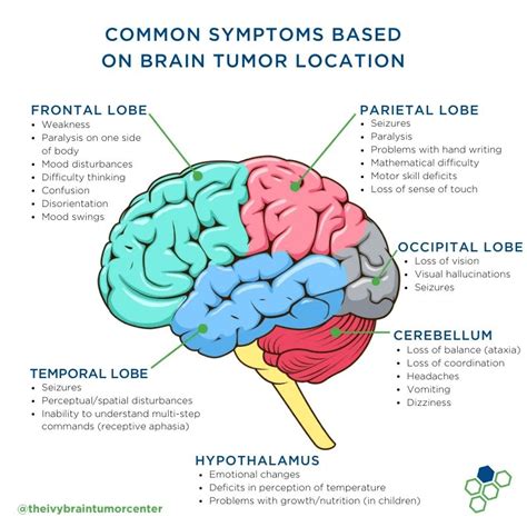 What Causes Brain Tumor