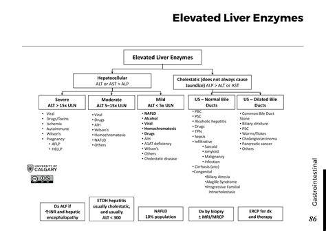 What Causes Elevated Liver Enzymes