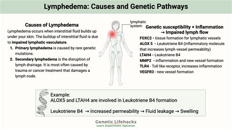 What Causes Lymphedema