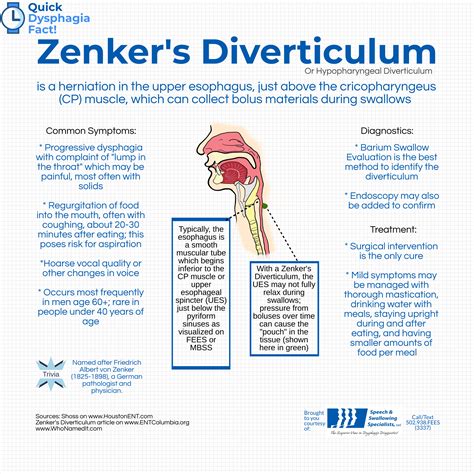 What Causes Zenker's Diverticulum
