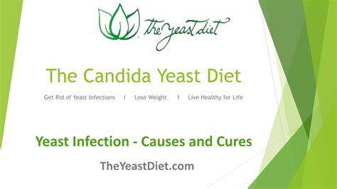 What Cures Candida Yeast Infection
