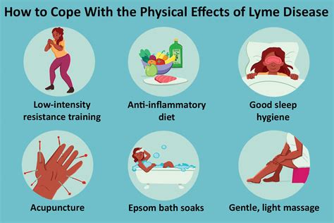 What Cures Lyme Disease