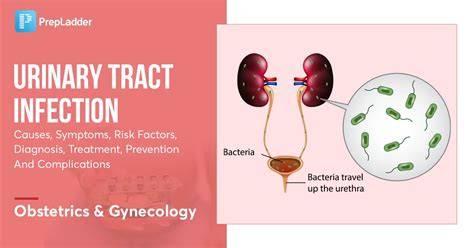 What Cures Urinary Tract Infection
