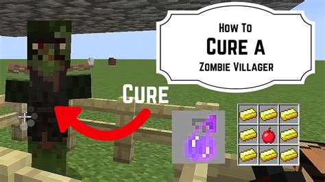 What Cures Zombie Villagers