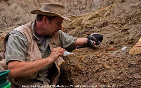 What Do A Paleontologist Do