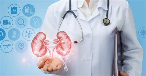 What Does A Nephrologist Do