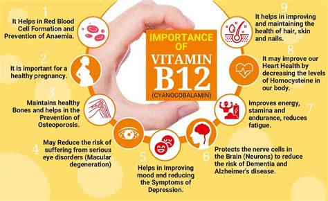 What Does B12 Do For Your Body