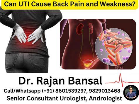 What Does Back Pain Feel Like Uti