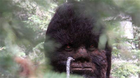 What Does Bigfoot Smell Like