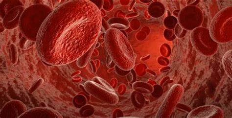 What Does Blood Taste Like And Why