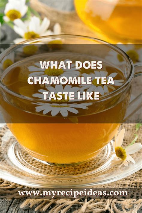 What Does Chamomile Taste Like In Tea