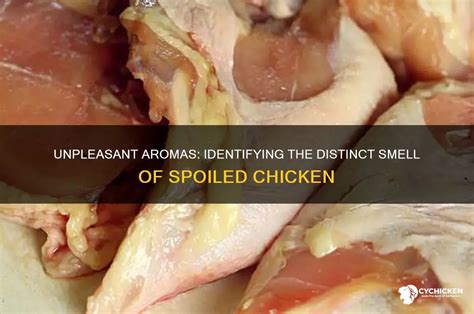 What Does Chicken Smell Like When Off