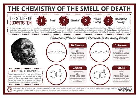What Does Death Smell Like
