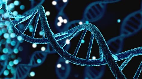 What Does Dna Look Like