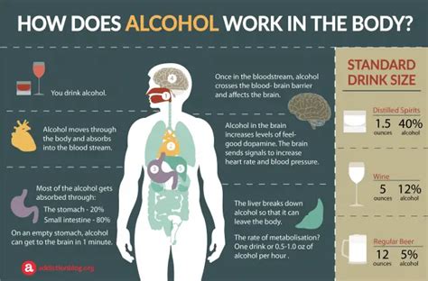 What Does Do To The Body