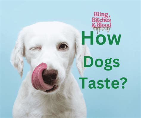 What Does Dog Taste Like