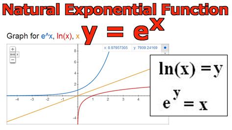 What Does E X Equal