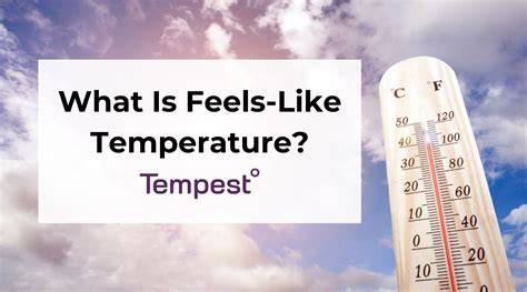 What Does Feel Like Temperature Mean