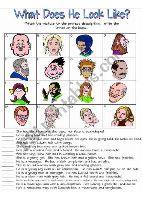 What Does He Look Like Worksheet