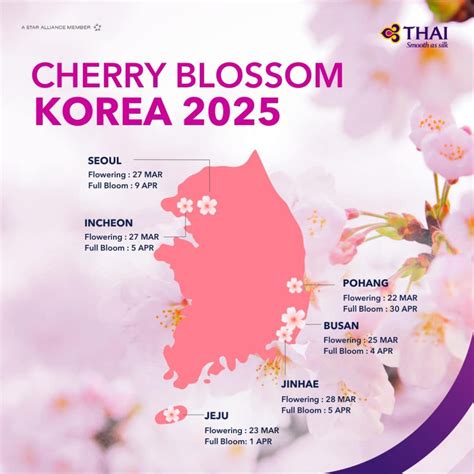What Does Mean In Korea