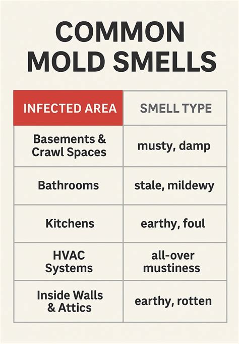 What Does Mildew Smell Like