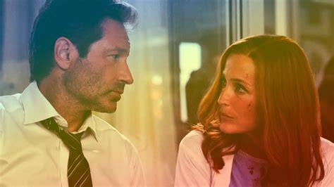 What Does Msr Stand For X Files