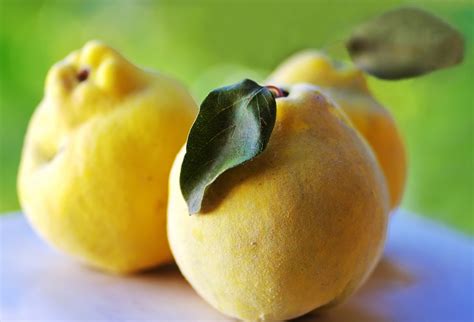 What Does Quince Smell Like In Perfume