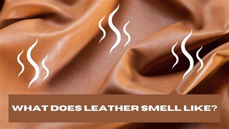 What Does Smell Like New