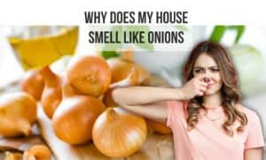 What Does Smell Like Onions