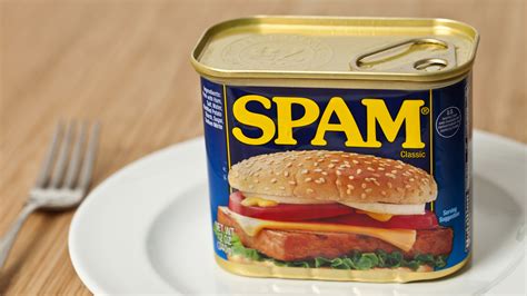 What Does Spam Stand For Food