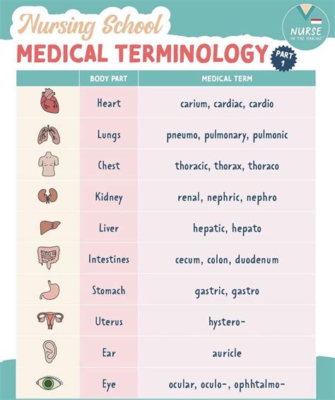 What Does Stand For In Medical Terms