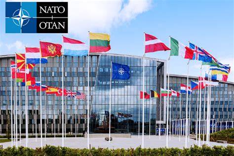 What Does Stand For Nato