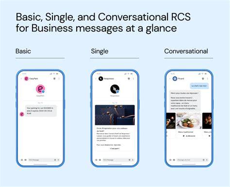 What Does Stand For Rcs