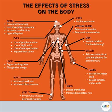 What Does Stress Feel Like