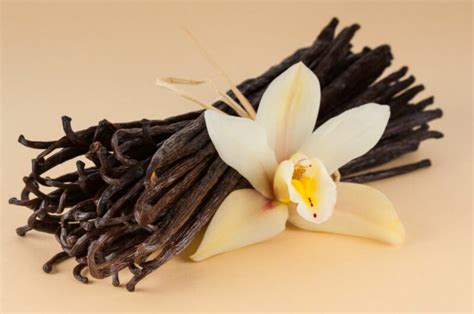 What Does Taste Like Vanilla