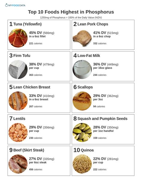 What Foods Have High Phosphorus