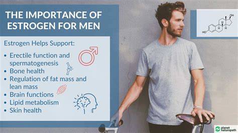 What Happens If A Man Takes Estrogen