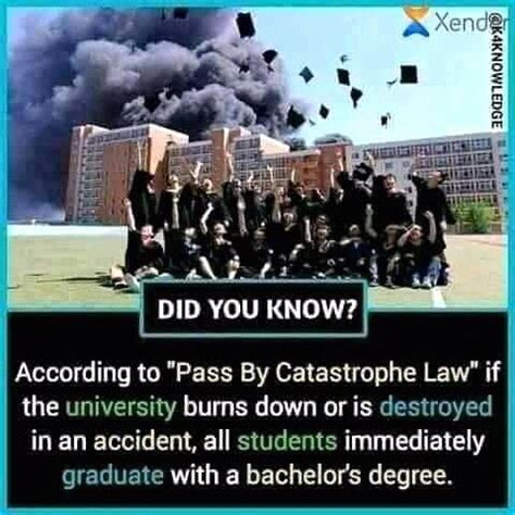 What Happens If A University Burns Down