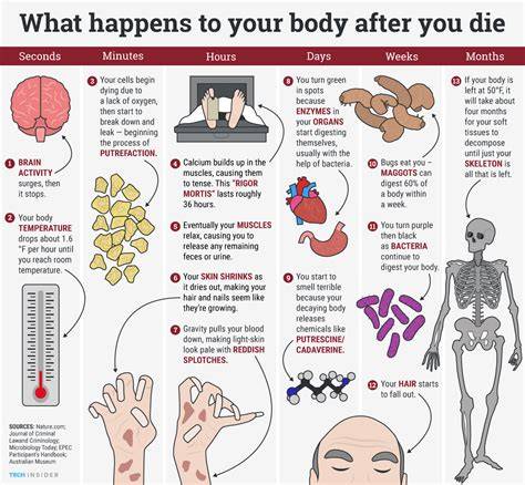What Happens If All Men Die